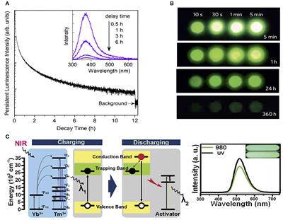 Crucial Breakthrough of Functional Persistent Luminescence Materials for Biomedical and Information Technological Applications